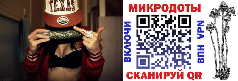 как найти   Вяземский  Галлюциногенные грибы Psilocybine cubensis 